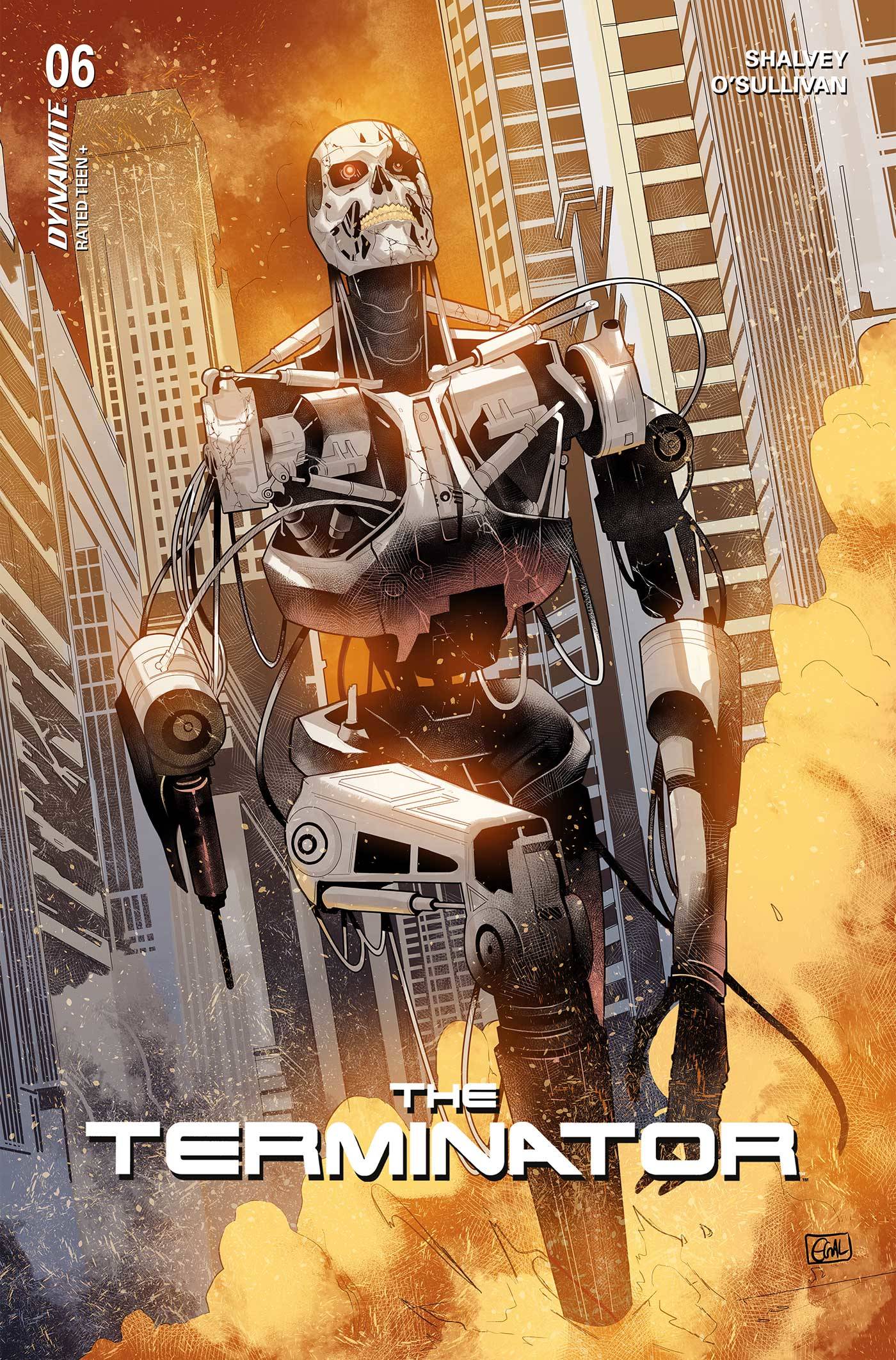 TERMINATOR #6 CVR H 10 COPY INCV GALMON FOIL