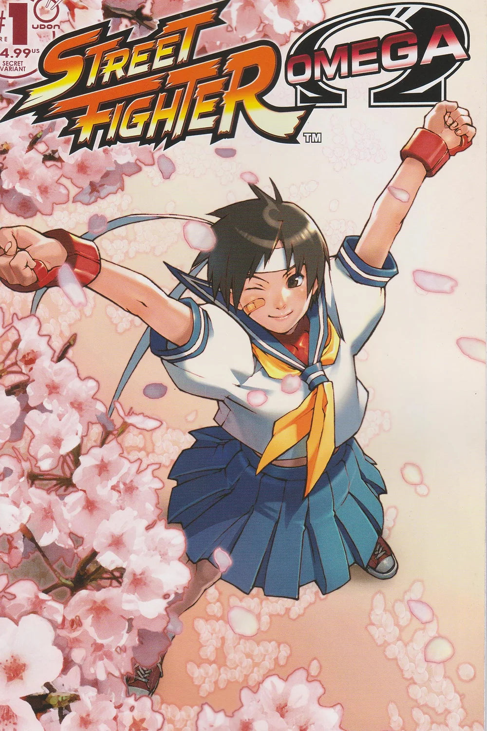 Street Fighter Omega #1 Direct Market Appreciation Edition