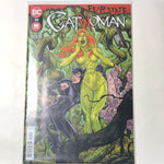 DC Comics: Catwoman Fearstate - #35