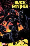 Marvel Comics: Black Panther - #8