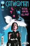 DC Comics: Catwoman - #48